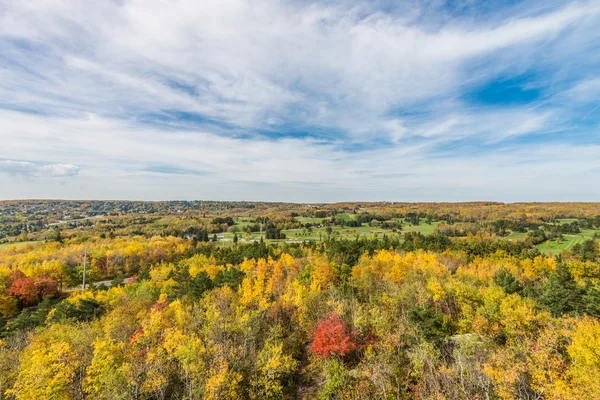 Autumn colored scene — Stock Photo, Image