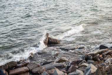 Rocky göl kıyısı