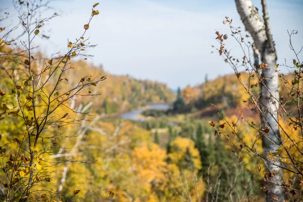 Herfst kleuren — Stockfoto