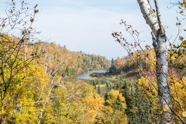 Herfst kleuren — Stockfoto