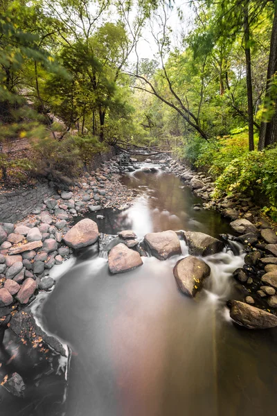 L'acqua scorre attraverso la foresta — Foto Stock