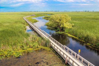 çim alan nehir ve köprü ile