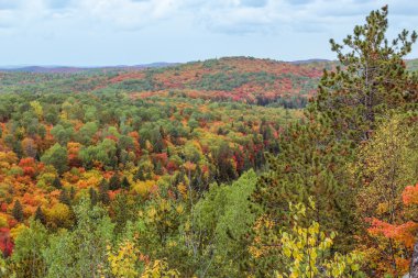 sonbahar sırasında Algonquin Milli Parkı