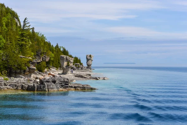 Lake side view during the summer — Stock Photo, Image