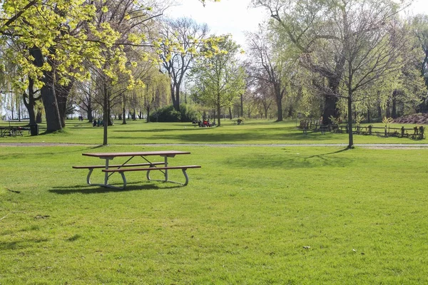 Campo de hierba durante el día de verano — Foto de Stock