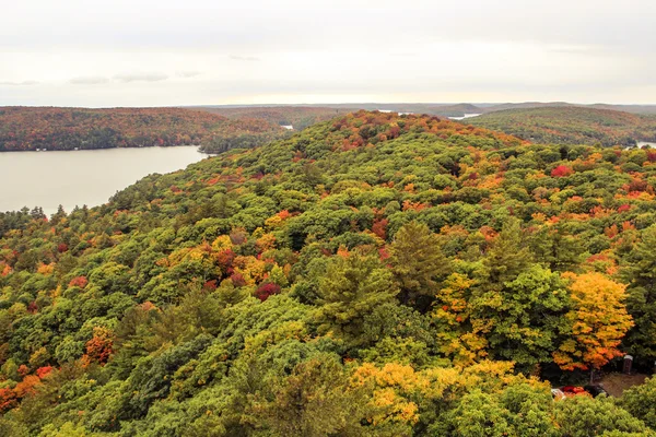 Algonquin National Park during autumn — Stock Photo, Image