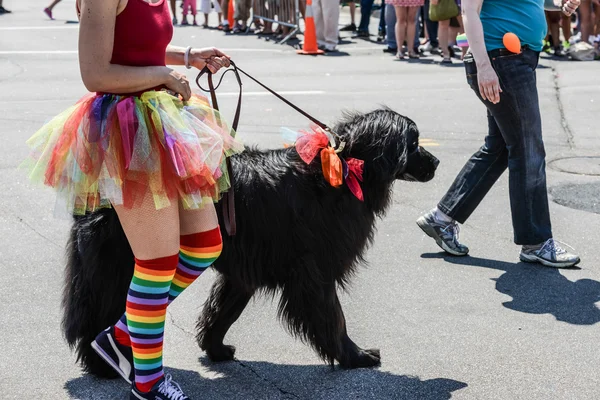 Minneapolis, mn, lgbt gurur geçit 2013 — Stok fotoğraf