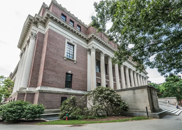 Widener bibliotheek van harvard university — Stockfoto