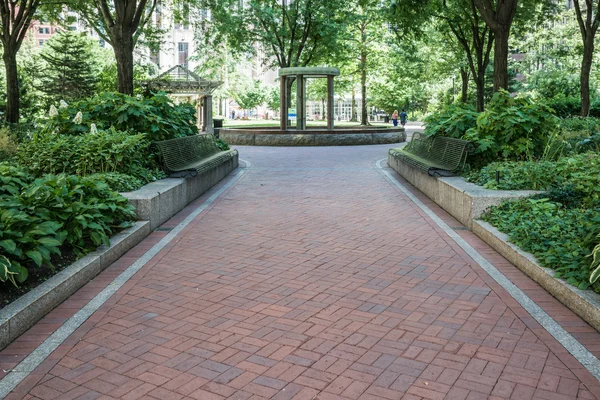 Road leading to center of park — Stock Photo, Image