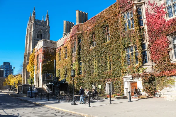 Trinity College Toronton yliopistossa — kuvapankkivalokuva