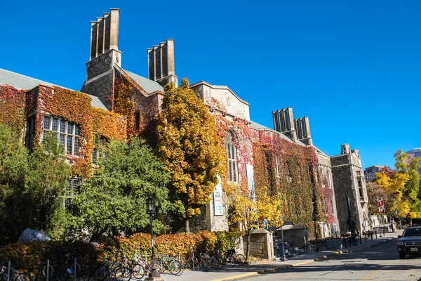 Trinity College Toronton yliopistossa — kuvapankkivalokuva