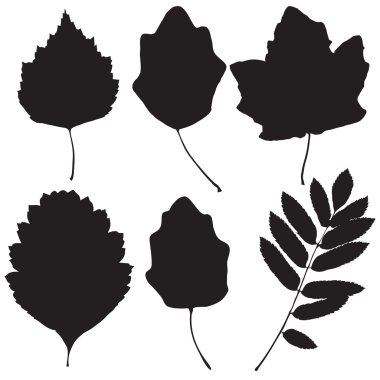 yaprak siluetleri topluluğu