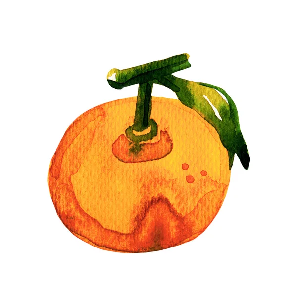 Acquerello mandarino su sfondo bianco — Foto Stock
