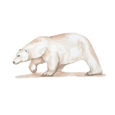 Kuzey Noel 'inin geyik hayvanları elle çizilmiş suluboya resimlere ev sahipliği yapar. Tekstil klasik gerçekçiliğini yazdır. Kusursuz baykuş yazıcısı kutup ayısı.