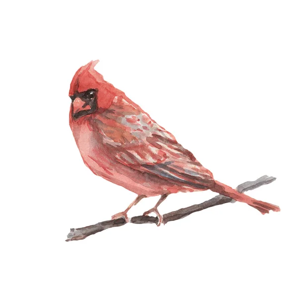 Uccelli Birdhouse Fiori Natale Vacanza Nuovo Anno Patern Senza Soluzione — Foto Stock