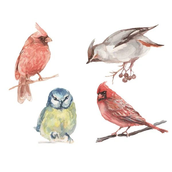 Kuş kafesi çiçekleri yeni yıl tatili babasız suluboya resimli el baskılı tekstil gerçekçiliği botanikçiliği çizdi.