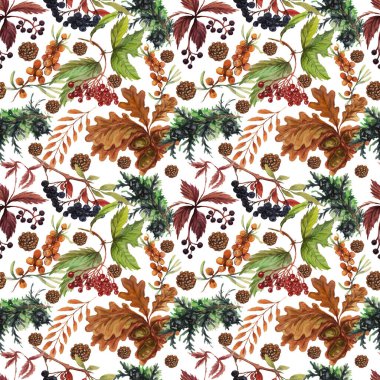 Böğürtlen bırakır sonbahar üzümleri Rowan meşe palamudu suluboya çizim el çizimi babasız baskı tekstil 