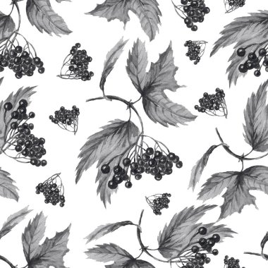 Böğürtlen bırakır sonbahar üzümleri Rowan meşe palamudu suluboya çizim el çizimi babasız baskı tekstil 