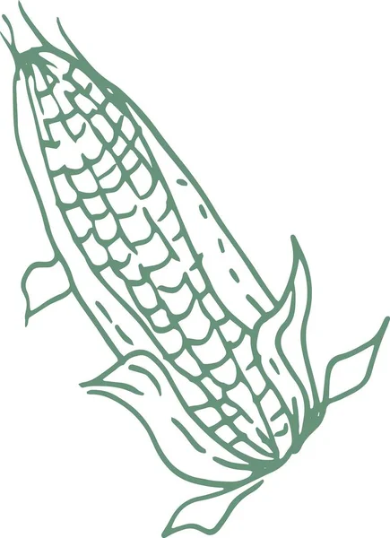 Warzywa Kukurydziane Grafika Ilustracja Ręcznie Rysowane Druk Tekstylia Żniwa Jesień — Wektor stockowy