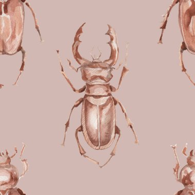 Böcek gergedanları böcekler doğa orman hayvanları böcekoloji biyoloji suluboya resimleme el çizimi arka plan desensiz