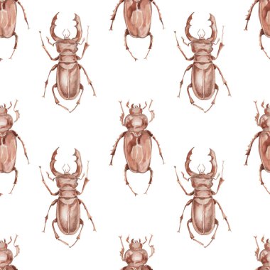 Böcek gergedanları böcekler doğa orman hayvanları böcekoloji biyoloji suluboya resimleme el çizimi arka plan desensiz
