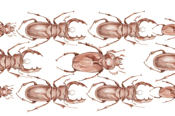 Kever Neushoorn Insecten Natuur Bos Dieren Entomologie Biologie Aquarel Illustratie — Stockfoto