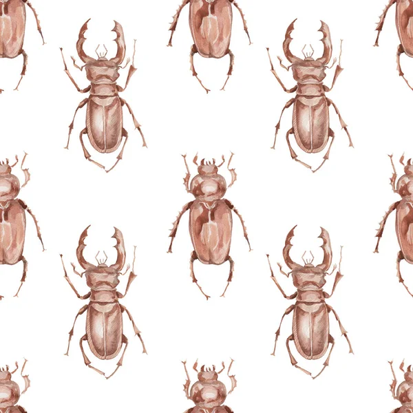 Böcek gergedanları böcekler doğa orman hayvanları böcekoloji biyoloji suluboya resimleme el çizimi arka plan desensiz