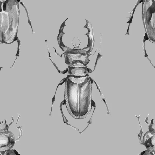 Skalbagge Noshörning Insekter Natur Skog Djur Entomologi Biologi Akvarell Illustration — Stockfoto