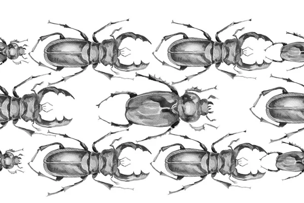 Coccinelle Rhinocéros Insectes Nature Forêt Animaux Entomologie Biologie Aquarelle Illustration — Photo