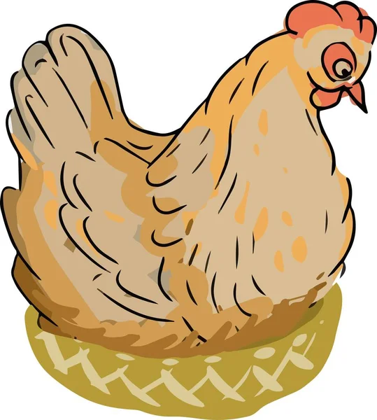 Farm Village Chicken Eggs Chicken Coop Flat Illustration Vector Hand — Stock Vector