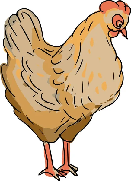 Granja Aldea Pollo Huevos Gallinero Plano Ilustración Vector Mano Dibujado — Vector de stock