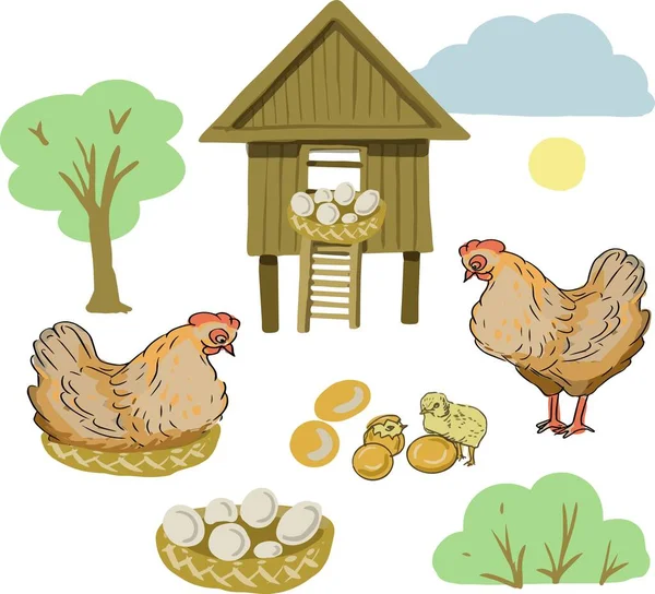 Farm Χωριό Αυγά Κοτόπουλου Κοτέτσι Επίπεδη Εικονογράφηση Διάνυσμα Χέρι Επέστησε — Διανυσματικό Αρχείο