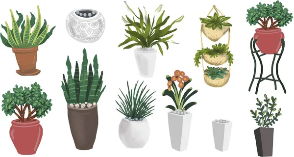 Indoor Plants Pots Vector Illustration Hand Drawn Hyuge Coziness Home — стоковый вектор