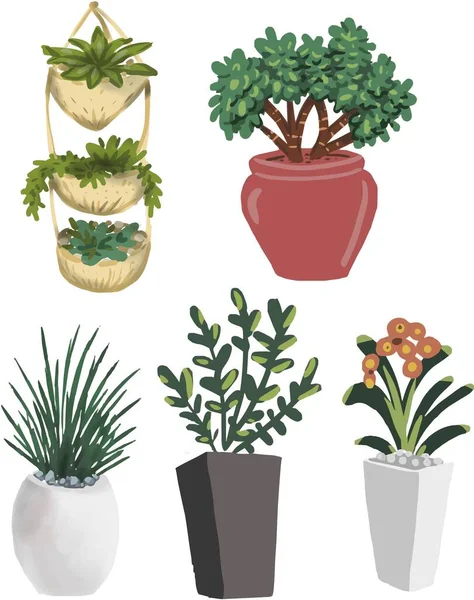 Indoor Plants Pots Vector Illustration Hand Drawn Hyuge Coziness Home —  Vetores de Stock