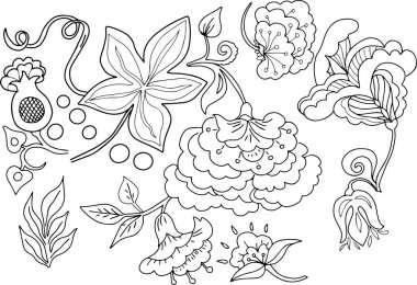 Süs bitkisi yaprakları geleneksel el çizimi çocuklar için karalama kitabı