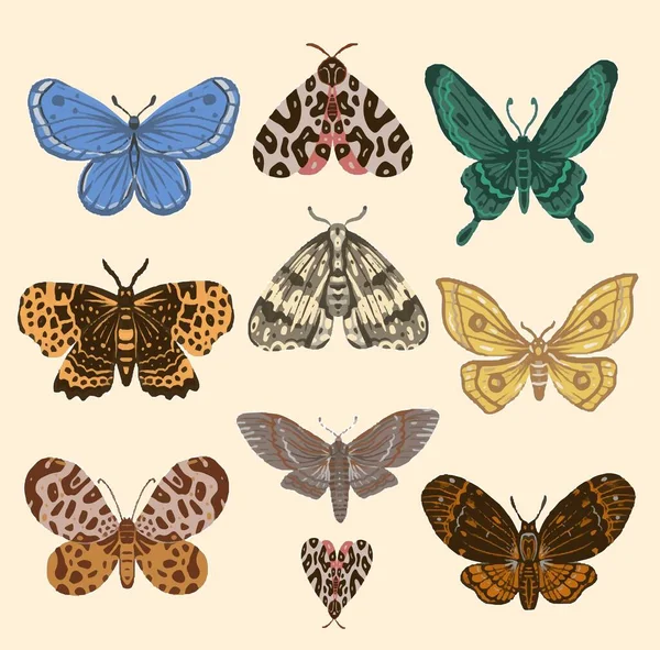 Kelebekler klasik İskandinav tarzı boho doğa böceklerinin el çizimi. Parlak renkli gerçekçi kelebekler renkli desenli mavi kahverengiler