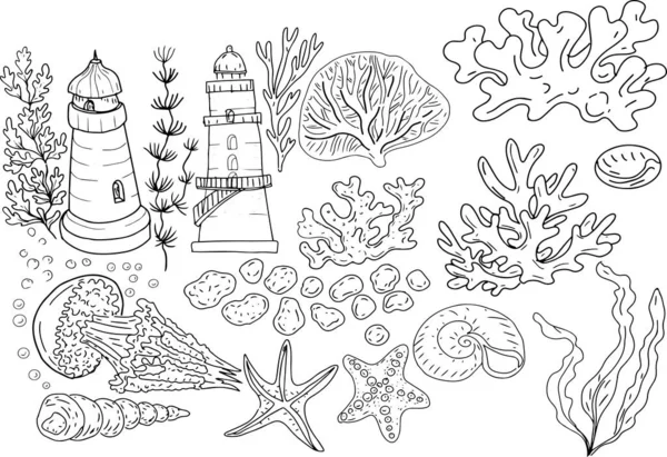 Риби Підводні Коралові Камені Губка Тропічна Розмальовка Книга Дітей Водорості — стоковий вектор