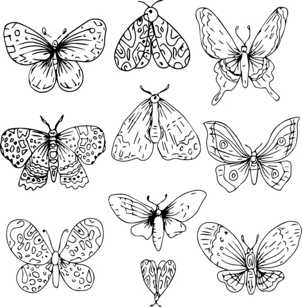 Farfalle Disegnate Mano Insetti Natura Animali Linea Grafica Incisione Set — Vettoriale Stock