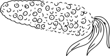 Mısır Gıda Kachan bitkisel yağ ürünleri hasat grafik çizim el oyma seti beyaz arka plan izole