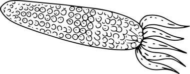 Mısır Gıda Kachan bitkisel yağ ürünleri hasat grafik çizim el oyma seti beyaz arka plan izole