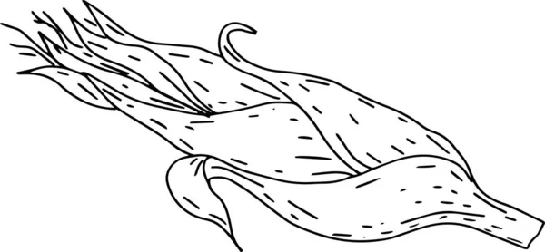 Mais Lebensmittel Kachan Blätter Pflanzliche Ölprodukte Ernte Grafische Illustration Gravur — Stockvektor