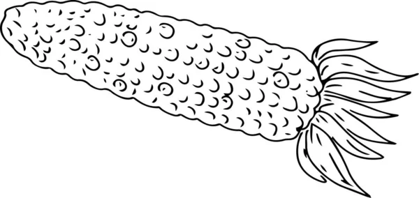 Maïs Nourriture Feuilles Kachan Produits Base Huile Végétale Récolte Illustration — Image vectorielle