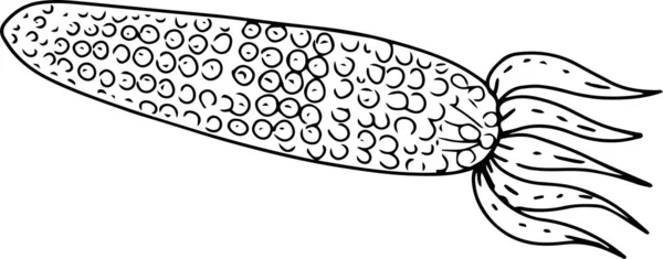 옥수수 식물성 제품을 함으로써 배경에 분리되어 손으로 — 스톡 벡터