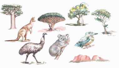 Hayvanlar ağaçlar Avustralya suluboya çizim eli ayrı ayrı kanguru devekuşu koala yalıçapkını ağaçları ve doğa