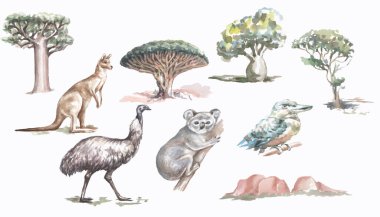 Hayvanlar ağaçlar Avustralya suluboya çizim eli ayrı ayrı kanguru devekuşu koala yalıçapkını ağaçları ve doğa