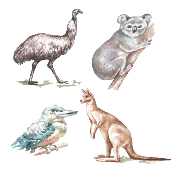 ออสเตรเล ภาพวาดกราฟ อวาด Koala Ostrich Emu แยกก นบนช นหล ขาว — ภาพถ่ายสต็อก