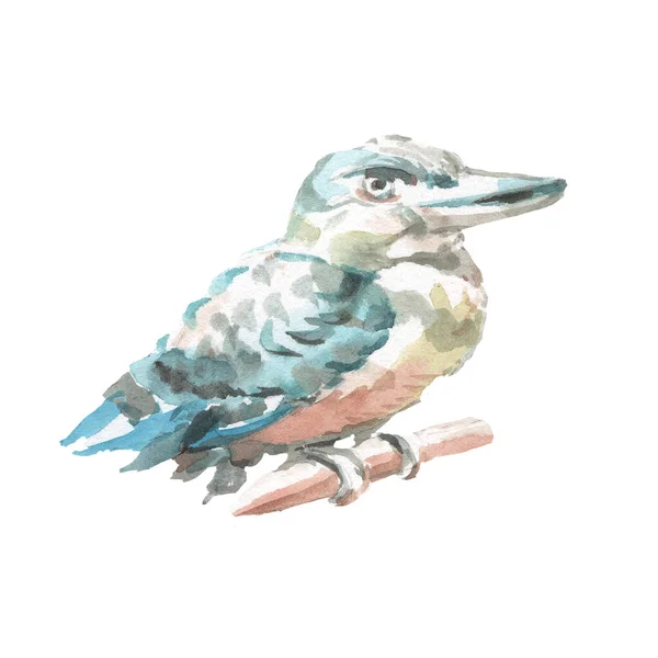 Kookaburra Fågel Australien Natur Vild Akvarell Illustration — Stockfoto