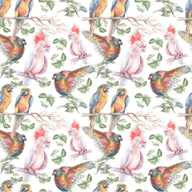 Papağan tropikal kuşlar suluboya çizim el yaprakları parlak renkli kuşlar papağan papağanı doğası.