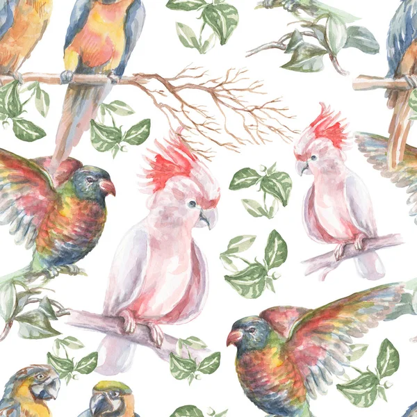 Papagei Tropische Vögel Aquarell Illustration Hand Gezeichnet Dschungel Zweige Blätter — Stockfoto