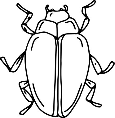 Çocuklar için beyaz arkaplan boyama kitabı üzerine kurulmuş büyük böcekler karalama el çizer 